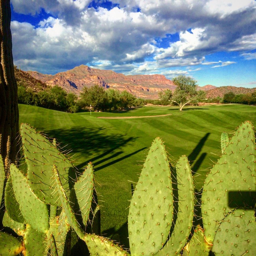 A Great Journey - Gold Mountain Golf Club